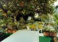 Lisbon Sintra photo